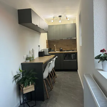 Apartment Casa Decebal